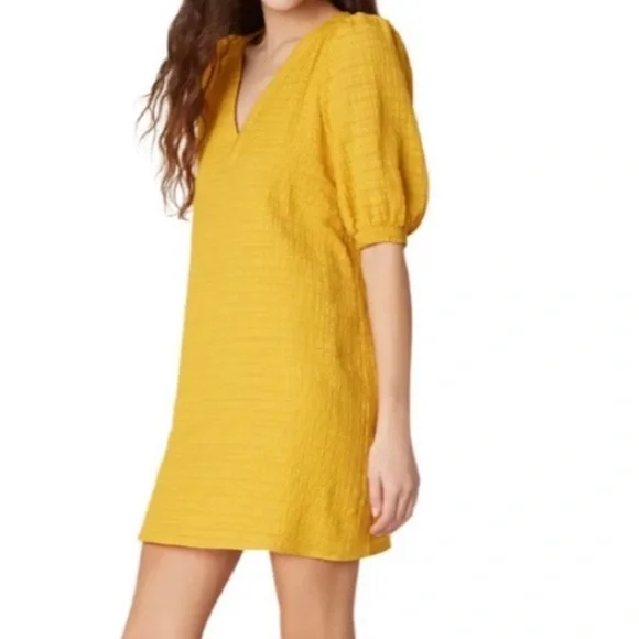 BB DAKOTA by Steve Madden Women's Fields of Gold🌼 - Picture 3 of 9